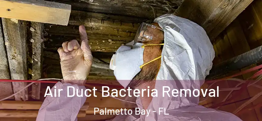  Air Duct Bacteria Removal Palmetto Bay - FL