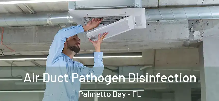 Air Duct Pathogen Disinfection Palmetto Bay - FL