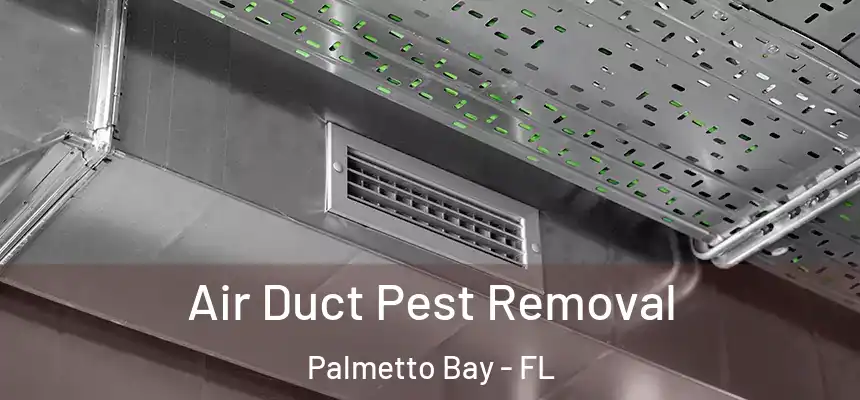  Air Duct Pest Removal Palmetto Bay - FL