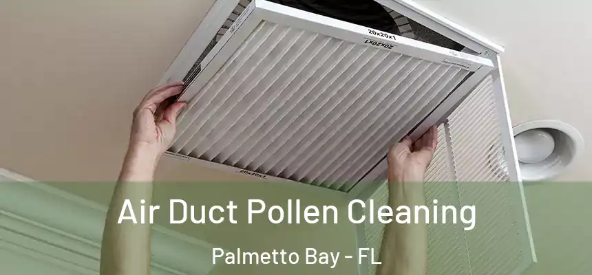 Air Duct Pollen Cleaning Palmetto Bay - FL