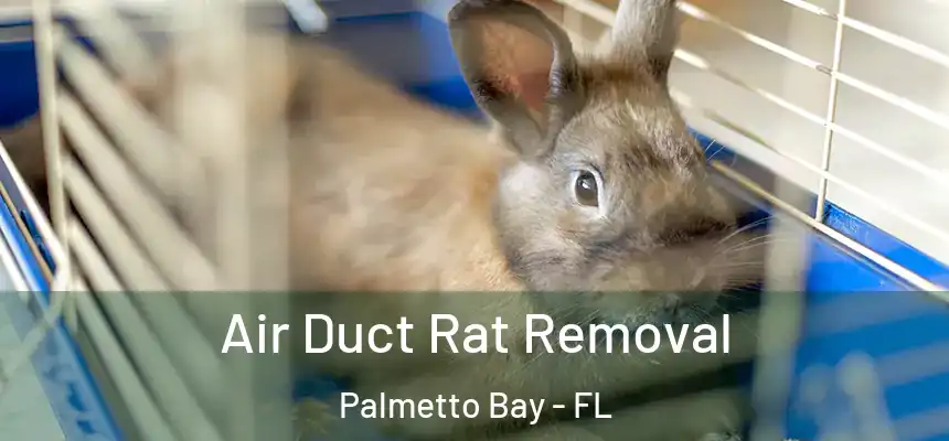  Air Duct Rat Removal Palmetto Bay - FL