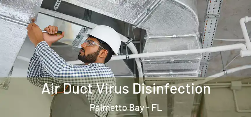  Air Duct Virus Disinfection Palmetto Bay - FL