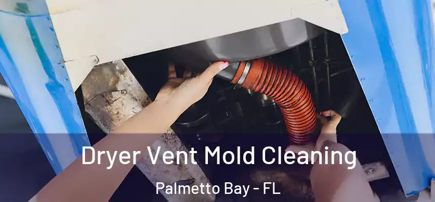  Dryer Vent Mold Cleaning Palmetto Bay - FL