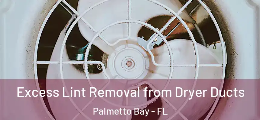  Excess Lint Removal from Dryer Ducts Palmetto Bay - FL