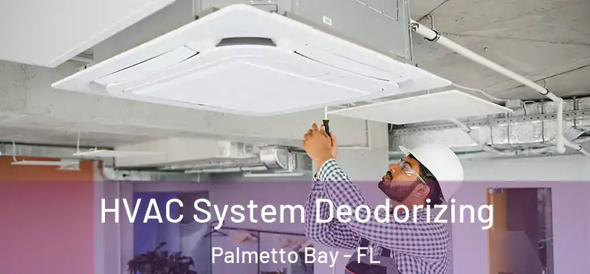  HVAC System Deodorizing Palmetto Bay - FL
