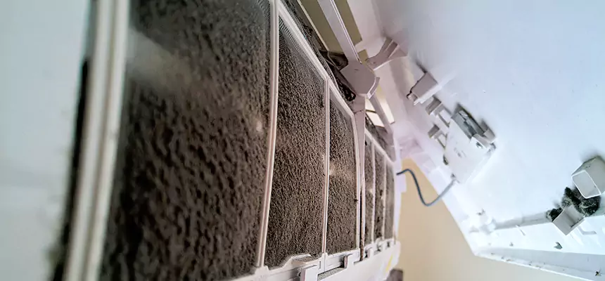 Preventive Air Duct Bacteria Removal in Palmetto Bay