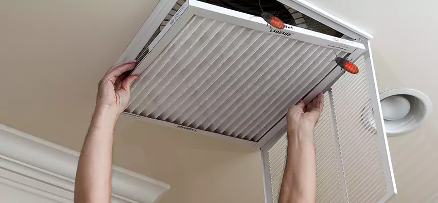 Preventive Cockroach-Proofing for Ducts in Palmetto Bay