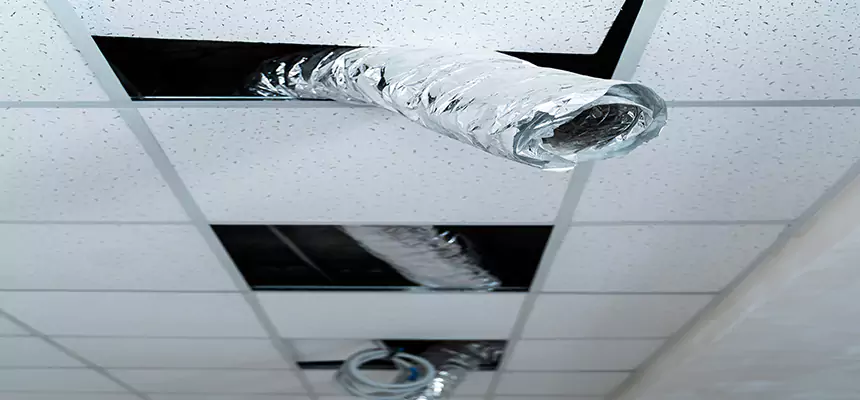 Affordable HVAC Sanitizing After Pest Removal in Palmetto Bay