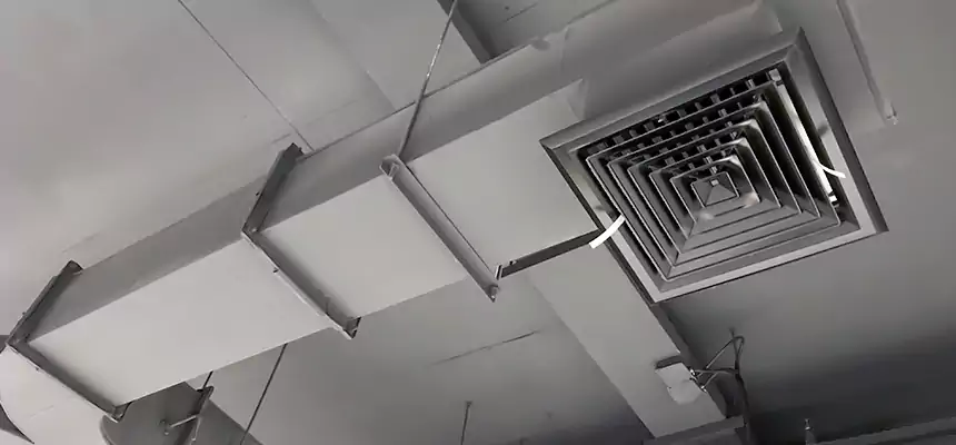 Restorative Allergy Relief Vent Cleaning – Coil, Blower & Housing Detail in Palmetto Bay