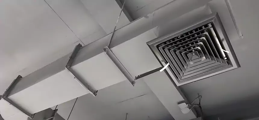 Our Pest Removal From Ducts Services in Palmetto Bay, FL