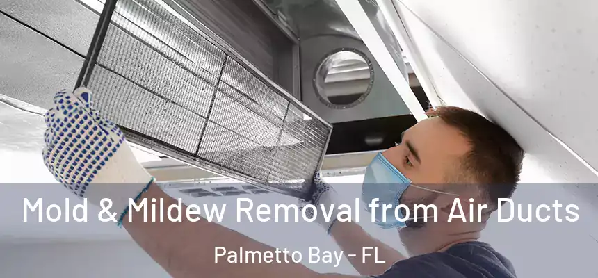  Mold & Mildew Removal from Air Ducts Palmetto Bay - FL