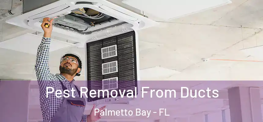 Pest Removal From Ducts Palmetto Bay - FL