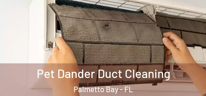  Pet Dander Duct Cleaning Palmetto Bay - FL