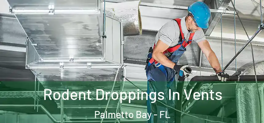  Rodent Droppings In Vents Palmetto Bay - FL