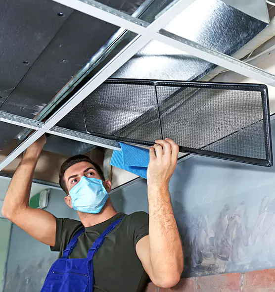 About Air Duct Bacteria Removal in Palmetto Bay