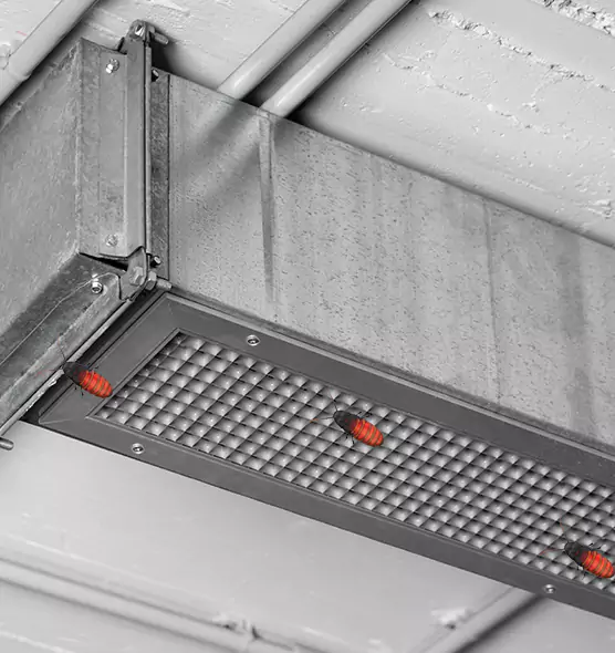 About Air Duct Cockroach Removal in Palmetto Bay, FL