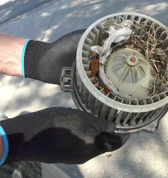 About Air Duct Mice Removal in Palmetto Bay, FL