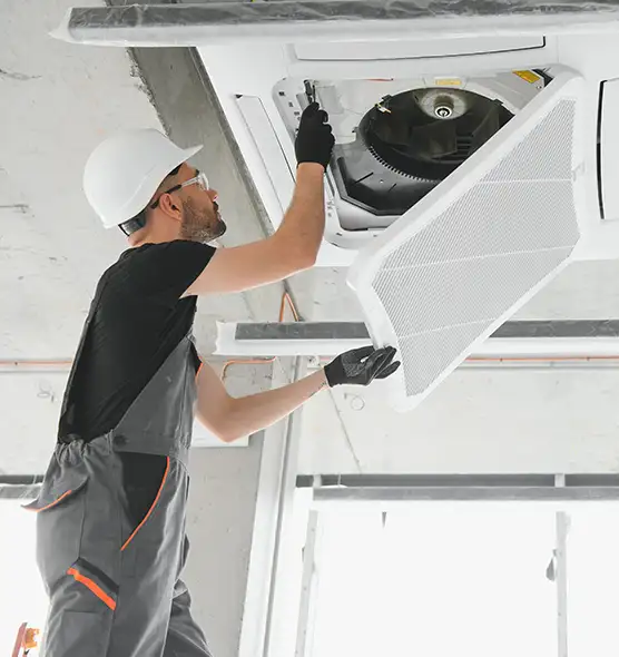 About Air Duct Rodent Removal in Palmetto Bay, FL