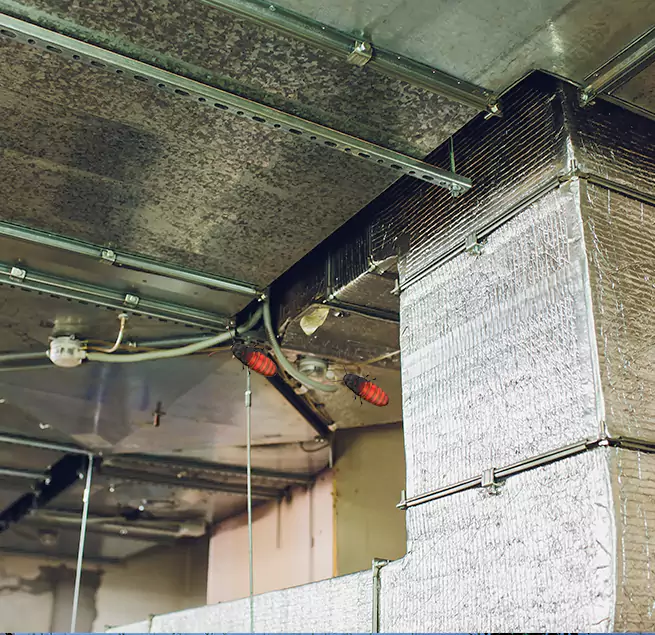 Why Homeowners & Businesses Trust Us in Palmetto Bay, FL?