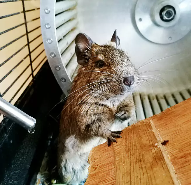 Why Homeowners & Businesses Trust Us Palmetto Bay, FL