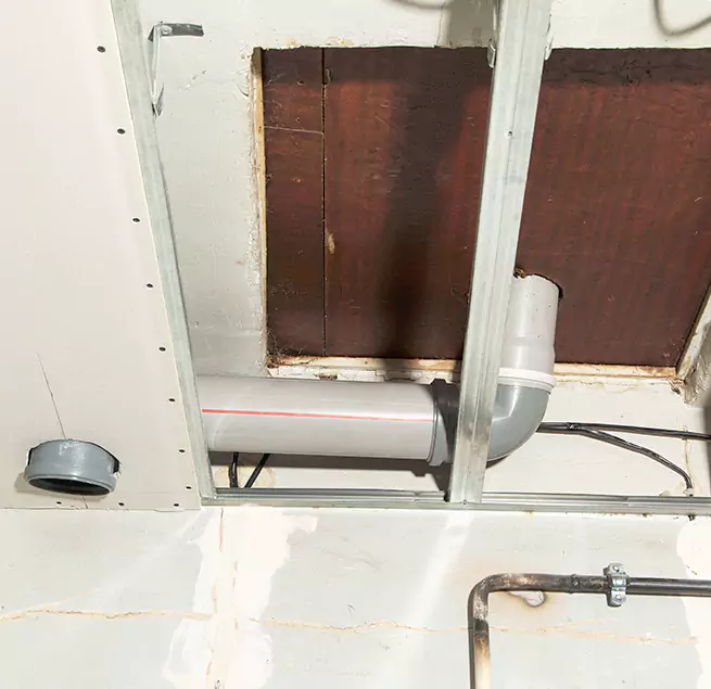 Why Homeowners & Businesses Trust Us in Palmetto Bay, FL?