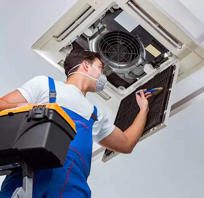 Why Homeowners & Businesses Trust Us in Palmetto Bay, FL