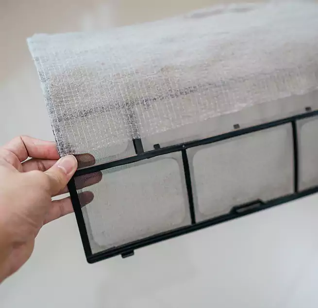 Why Homeowners & Businesses Trust Us in Palmetto Bay, FL?