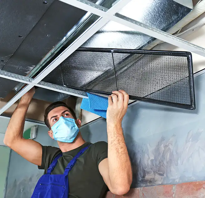 Why Homeowners & Businesses Trust Us in Palmetto Bay, FL?