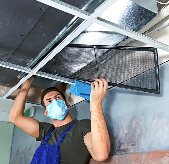 Why Homeowners & Businesses Trust Us in Palmetto Bay, FL?